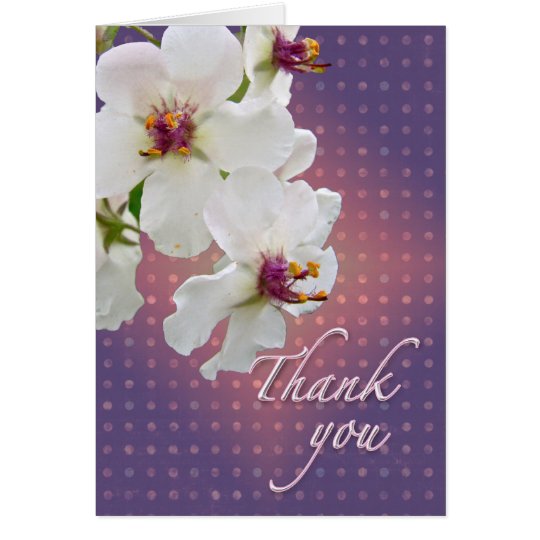 Thank You Moth Mullein Wildflower Card