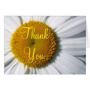 Thank You Note Card