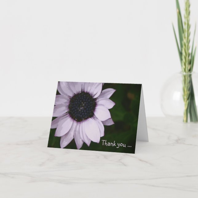 Thank You Note Card - Purple Senetti Flower (Front)