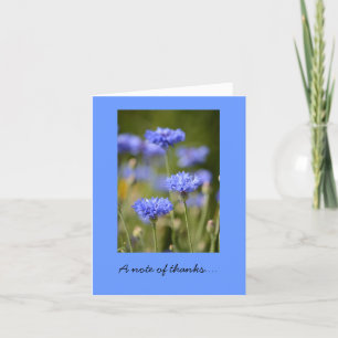 Thank You Note Card with Blue Bachelor Buttons