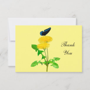 Thank You Note Cards