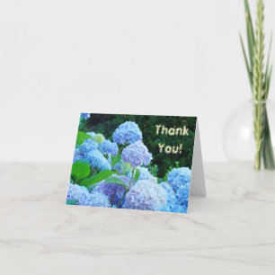 Thank You! Note cards Blue Hydrangea Flowers
