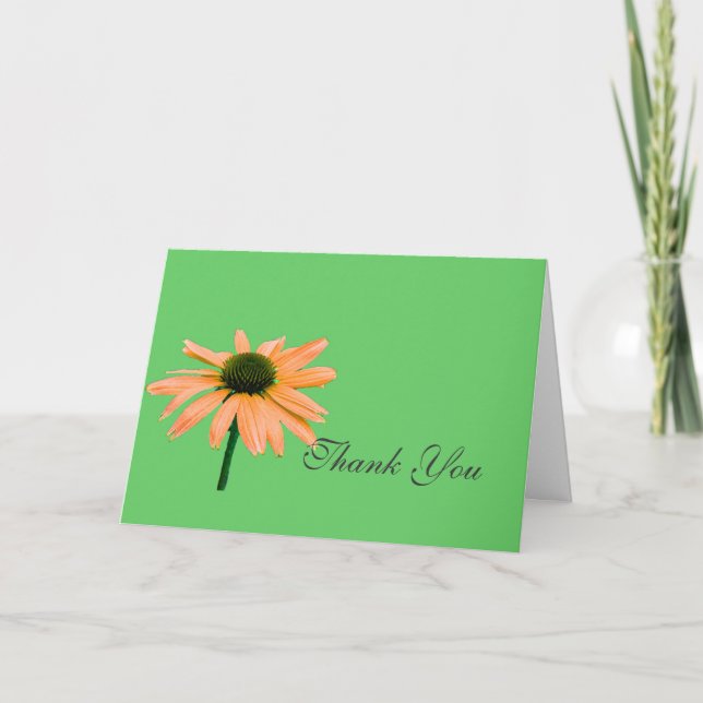 thank you note,daisy flowers card (Front)