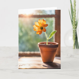 Thank You Orange Daisy