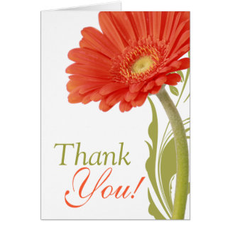 Orange Thank You Cards, Photo Card Templates, Invitations & More