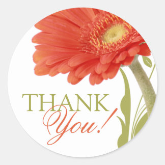 Thank You | Orange Gerbera Daisy Classic Round Sticker