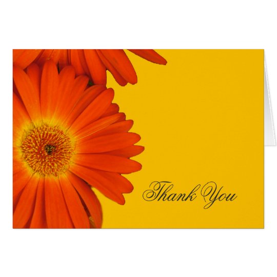 thank you orange gerbera daisy flowers card