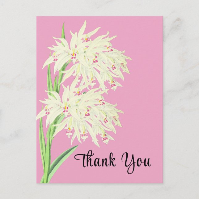 Thank You Orchid Floral  Postcard (Front)