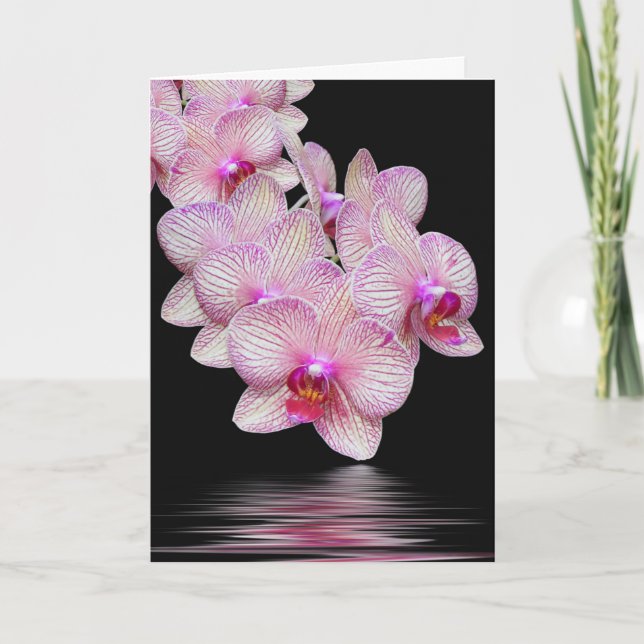 Thank You Orchid Sympathy Card (Front)