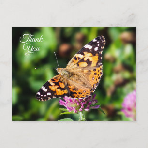 Thank You Painted Lady Butterfly Postcard