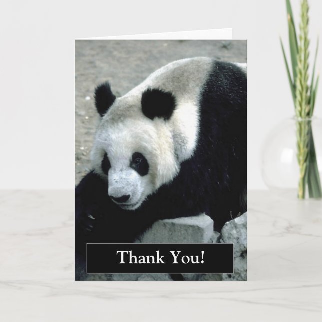 Thank You Panda Bear Card (Front)