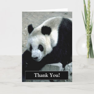 Thank You Panda Bear Card