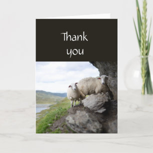 Thank you Pastor Shepherd Lost Flock Sheep Card