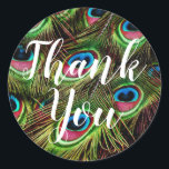 Thank You Peacock Feather Stickers<br><div class="desc">Thanks You Peacock Feathers Stickers</div>
