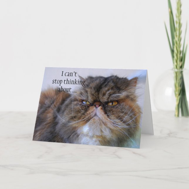 Thank You Persian Calico Kitty Princess Card (Front)