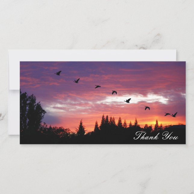 "Thank You", Photo Card (Front)