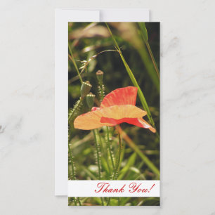 Thank You Photo Card