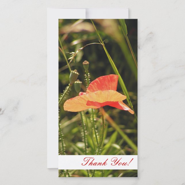 Thank You Photo Card (Front)