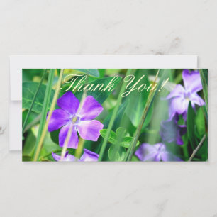"Thank You", Photo Card