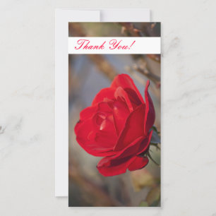 Thank You Photo Card