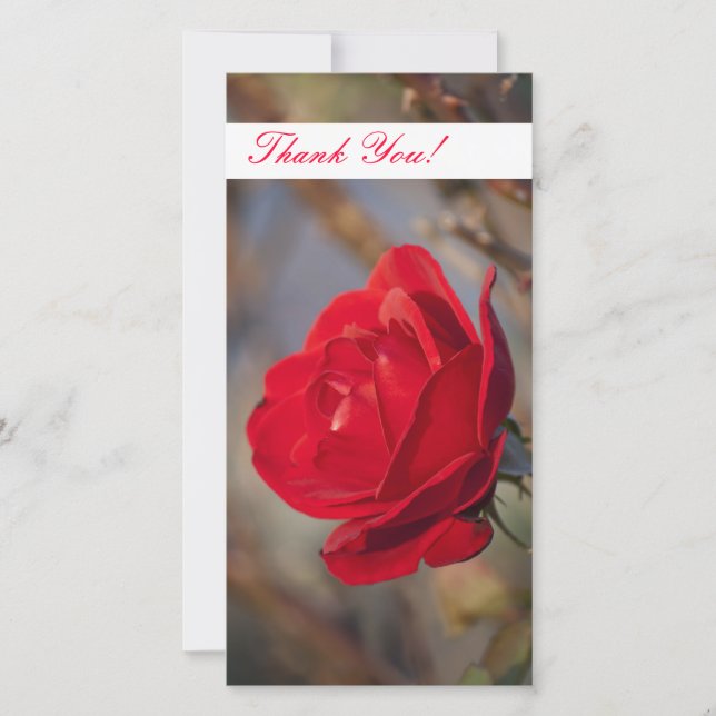 Thank You Photo Card (Front)