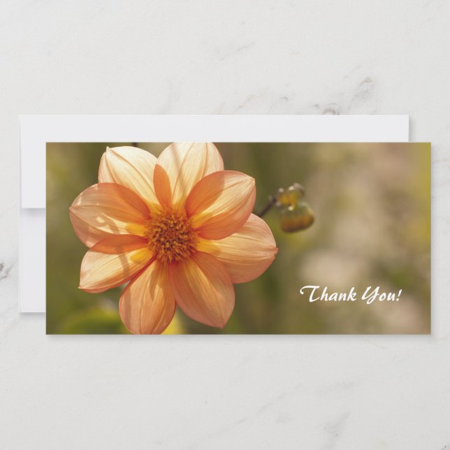 Thank You Photo Card (Front)