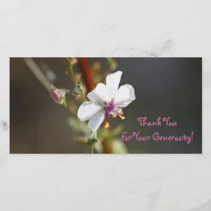 Thank You, Photo Card