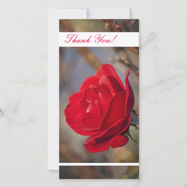 Thank You Photo Card (Front)