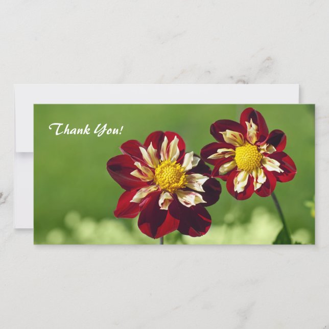 Thank You Photo Card (Front)