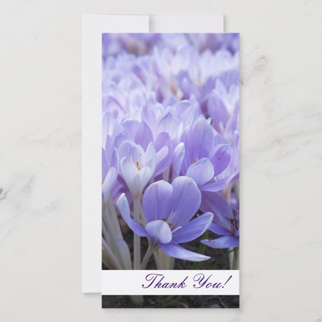 Thank You Photo Card (Front)