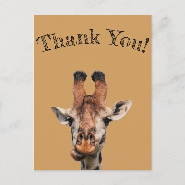 thank you,photo of funny giraffe,minimalist postcard (Front)