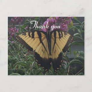Thank you Photo Yellow and Black Butterfly Postcard