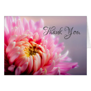 Thank You Pink Chrysanthemum Macro Photo Note Card