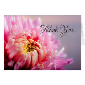 Thank You Pink Chrysanthemum Macro Photo Note Card