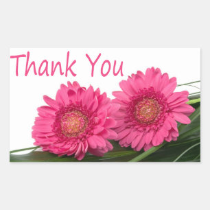 Thank You Pink Gerbera Daisy Flower Floral Sticker
