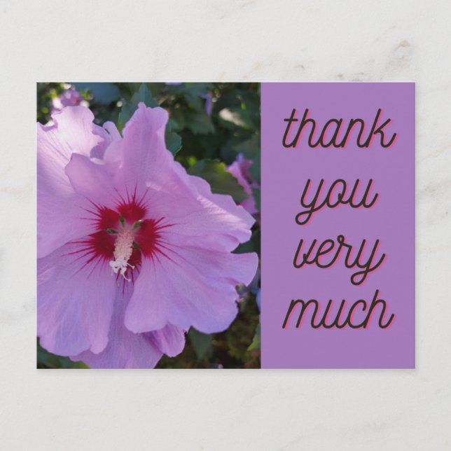Thank You Pink Hibiscus Flower Card (Front)