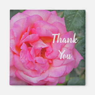 Thank You Pink Rose Bloom Photo Appreciation Magnet