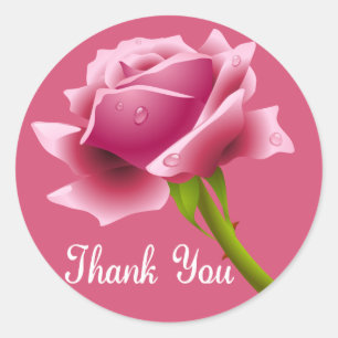 Thank You Pink Rose Thank You Pink Sticker / Seal