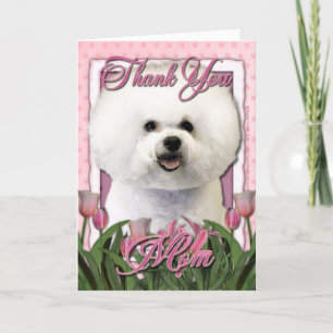 Thank You - Pink Tulips - Bichon Frise Card