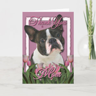 Thank You - Pink Tulips - Boston Terrier