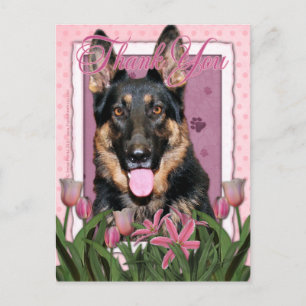 Thank You - Pink Tulips - German Shepherd - Kuno Postcard
