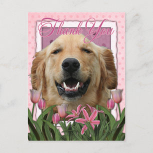 Thank You - Pink Tulips - Golden Retriever -Mickey Postcard