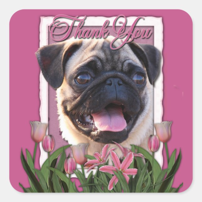 Thank You - Pink Tulips - Pug Square Sticker (Front)
