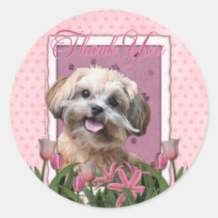 Thank You - Pink Tulips - ShihPoo - Maggie Classic Round Sticker