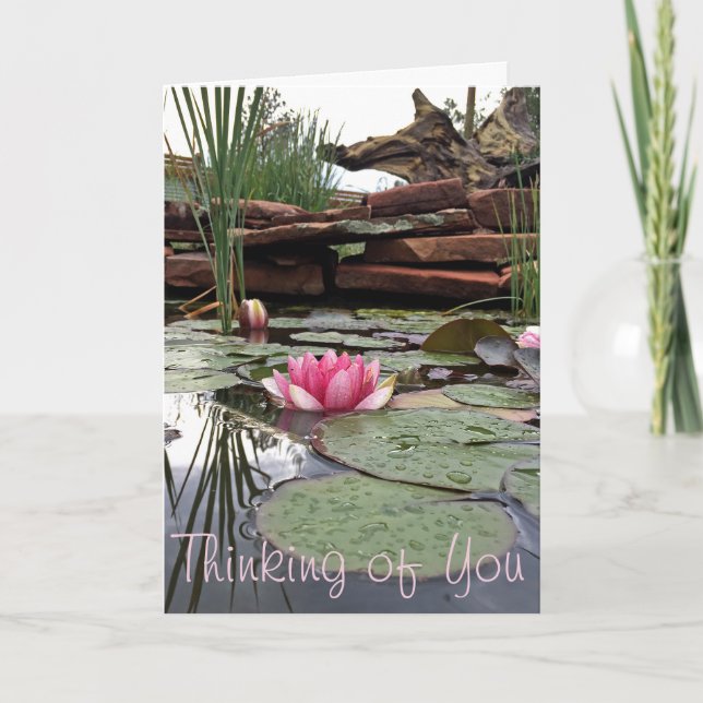 Thank You Pink Water Lilies Reflections Photograph Card (Front)