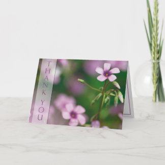 Thank You - Pink Wood Sorrel Greeting Card