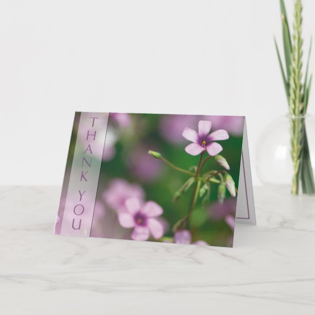 Thank You - Pink Wood Sorrel Greeting Card (Front)
