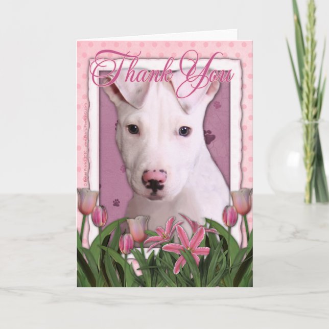 Thank You - Pitbull Puppy - Petey (Front)
