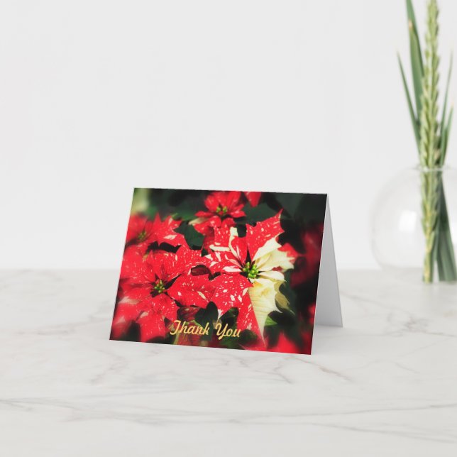 Thank You Poinsettas (Front)