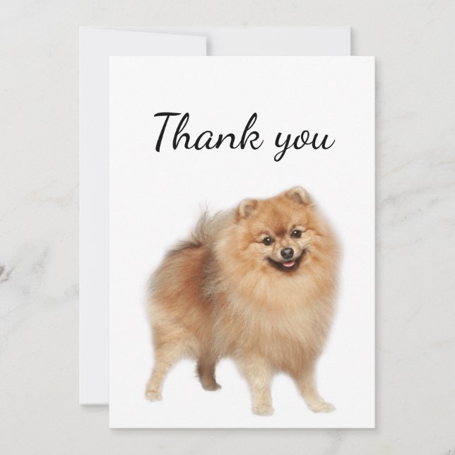 Thank You Pomeranian Dog Pet Animal  Card (Front)